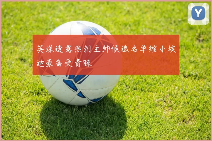英媒透露热刺主帅候选名单缩小埃迪豪备受青睐