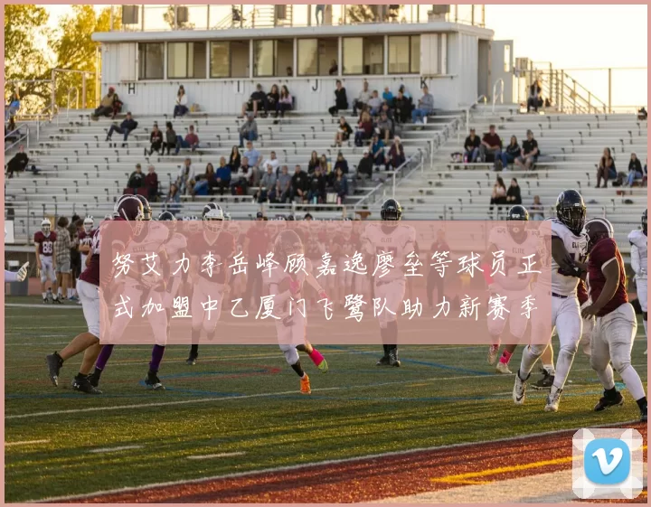 努艾力李岳峰顾嘉逸廖垒等球员正式加盟中乙厦门飞鹭队助力新赛季