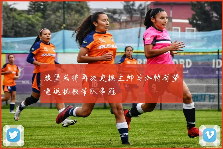 狼堡或将再次更换主帅马加特有望重返执教带队争冠